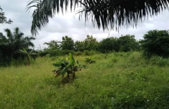 Togo / Insécurité: Adétikope Kladjèmé, Agotimé et ses environs, l’Impossibilité de Sortir la Nuit insecurite Adétikope Kladjème Agotimé togo