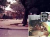 L’Imposture de la Mémoire: Quand le Régime Gnassingbé Impose la Célébration du Bourreau au Peuple Victime Massacre de civils au Freau Jardin par Eyadema Gnassingbé, 25 janvier 1995 | Archives: DR