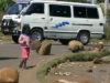 Zimbabwe: Au moins 27 morts dans la collision d’un minibus et d’un camion Pour leurs déplacements quotidiens, de nombreux Zimbabwéens comptent sur les minibus-taxis privés, connus localement sous le nom de « kombi » | Photo: AP