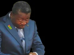 Âneries Togolaises, Faure Gnassingbé Fait Chanter la France: Libération de 2 Français Arrêtés au Togo Contre l’Extradition de Ferdinand Ayité… Le premier ministre Togolais Faure E. Gnassingbé fait chanter la France | Infog: 27avril.com