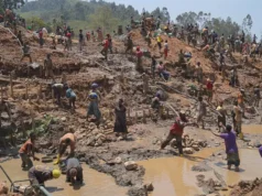 RDC: Face à Ebola, les mineurs contraints de travailler pour survivre Des personnes cherchent de l'or sur un site minier à Iga-Barrière, dans la province de l'Ituri, dans l'est du Congo, le 14 août 2026 | AP