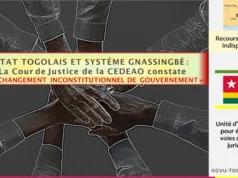 Capitaliser Sur Le Plus Grand Échec du Système Gnassingbé: Opter Pour Un Recours En Révision Auprès De La CJ-CEDEAO Infog: CVU-Togo-Diaspora.org