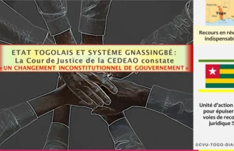 Capitaliser Sur Le Plus Grand Échec du Système Gnassingbé: Opter Pour Un Recours En Révision Auprès De La CJ-CEDEAO Infog: CVU-Togo-Diaspora.org