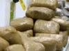 Ghana: Des douaniers en détention pour trafic de drogue Briques de drogue | Photo: DR