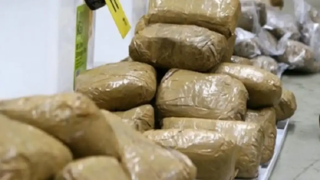 Briques de drogue | Photo: DR