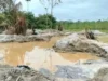 Côte d’Ivoire: Les jeunes Togolais des Savanes pris au piège de l’orpaillage clandestin