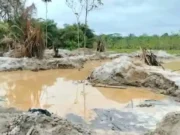 Côte d’Ivoire: Les jeunes Togolais des Savanes pris au piège de l’orpaillage clandestin