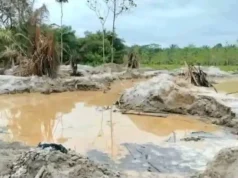 Côte d’Ivoire: Les jeunes Togolais des Savanes pris au piège de l’orpaillage clandestin