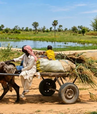 Niger: À Falki, le partage de l’eau s’adapte à une mare qui se vide Près de la digue de la mare de Falki, des charretiers traversant le couloir des éleveurs | Photo: Fanta Chamsou / Mongabay