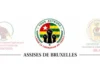 Assises de CODITOGO et FREEDOM-TOGO MLN à Bruxelles du 27 au 29 novembre 2026