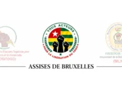 Assises de CODITOGO et FREEDOM-TOGO MLN à Bruxelles du 27 au 29 novembre 2026