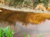Niger / incident environnemental: Une importante éruption de pétrole et de gaz dans le désert Pétrole issu d'un déversement polluer la rivière Okuku, dans l'Ogoniland, au Nigeria, le 16 juin 2023 | Capture d'écran: AP