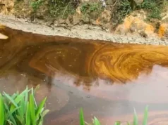 Niger / incident environnemental: Une importante éruption de pétrole et de gaz dans le désert Pétrole issu d'un déversement polluer la rivière Okuku, dans l'Ogoniland, au Nigeria, le 16 juin 2023 | Capture d'écran: AP