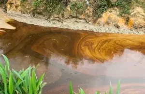 Niger / incident environnemental: Une importante éruption de pétrole et de gaz dans le désert Pétrole issu d'un déversement polluer la rivière Okuku, dans l'Ogoniland, au Nigeria, le 16 juin 2023 | Capture d'écran: AP